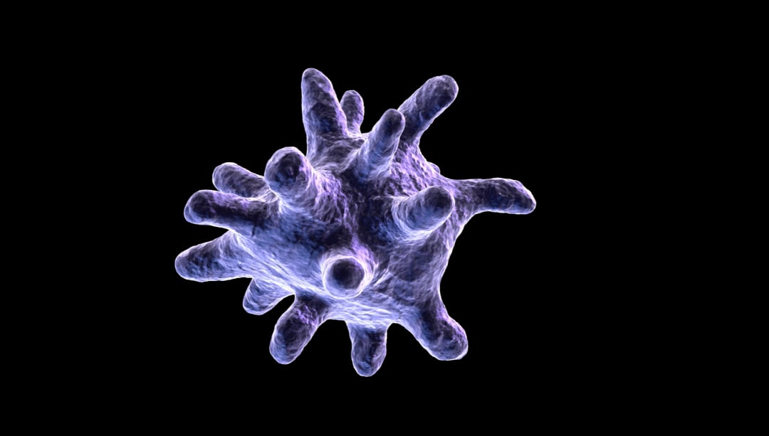 715cf143825d4936a7b07d13ba5a5e7c-MhKXbvo