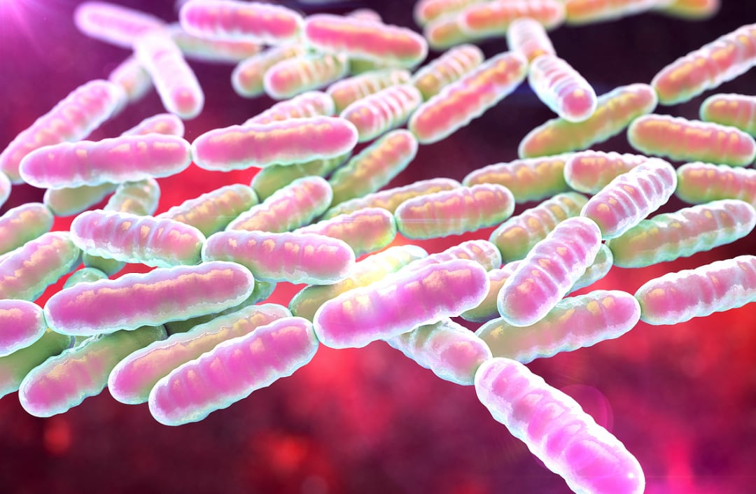 结直肠癌化疗耐药新机制:肿瘤细菌竟通过“物理挤压”让癌细胞休眠 2 图片