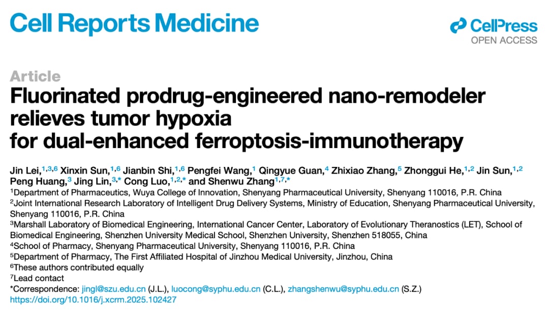 铁死亡+免疫治疗新策略:索拉非尼纳米药物显著缓解肿瘤缺氧,提升实体瘤治疗效果 1 187c3626f32c48daa8b557e05d803edf-cBlDzSv