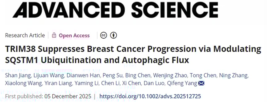 TRIM38抑制乳腺癌进展新机制揭秘:自噬调控与潜在治疗靶点深度解析 1 150be6f9ca9f4efaadf34111f7b7d898-NXHLuSY
