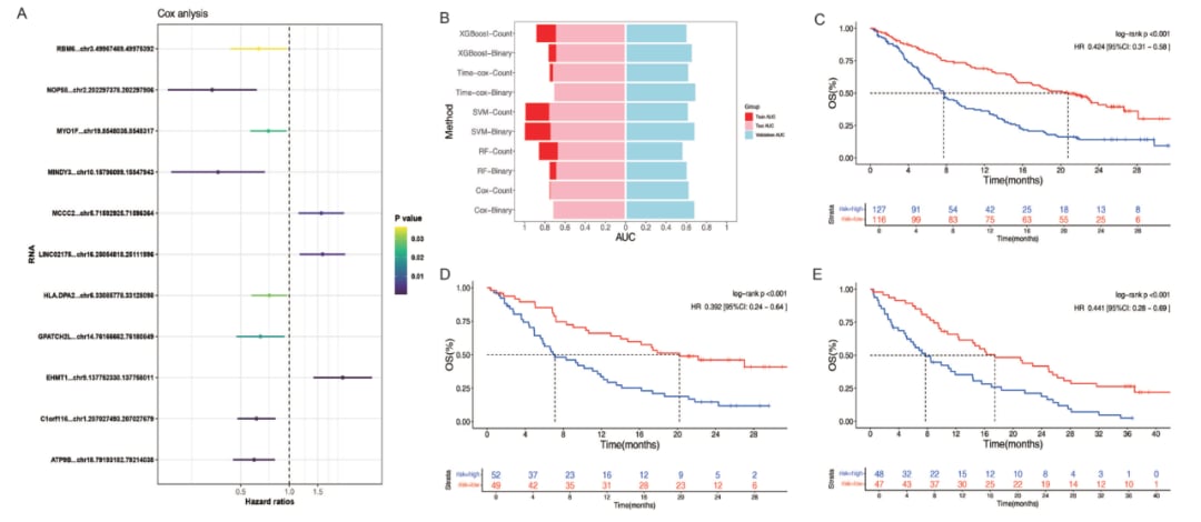 创新生物标志物:circRNA模型精准预测非小细胞肺癌阿替利珠单抗免疫治疗响应 2 图片