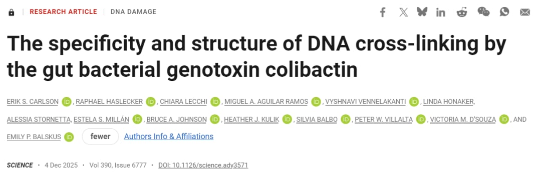 肠道毒素colibactin如何引发结直肠癌?哈佛团队揭示DNA损伤新机制 1 f6b46750b79c48f18362334d4547a855-A0OPvOI