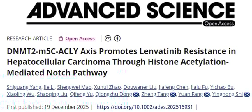 仑伐替尼治疗肝癌耐药怎么办?新研究揭示DNMT2-ACLY轴,联合用药突破瓶颈 1 091b56baa27f451c91caee608931b57b-qnqyLjj