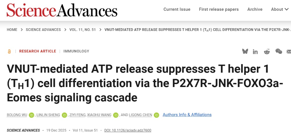 《Science Advances》新发现:VNUT是癌症免疫治疗新靶点?T细胞抗肿瘤机制深度解析 1 9b28f272e47b411f889f453d2b015cb1-IdRhtaG