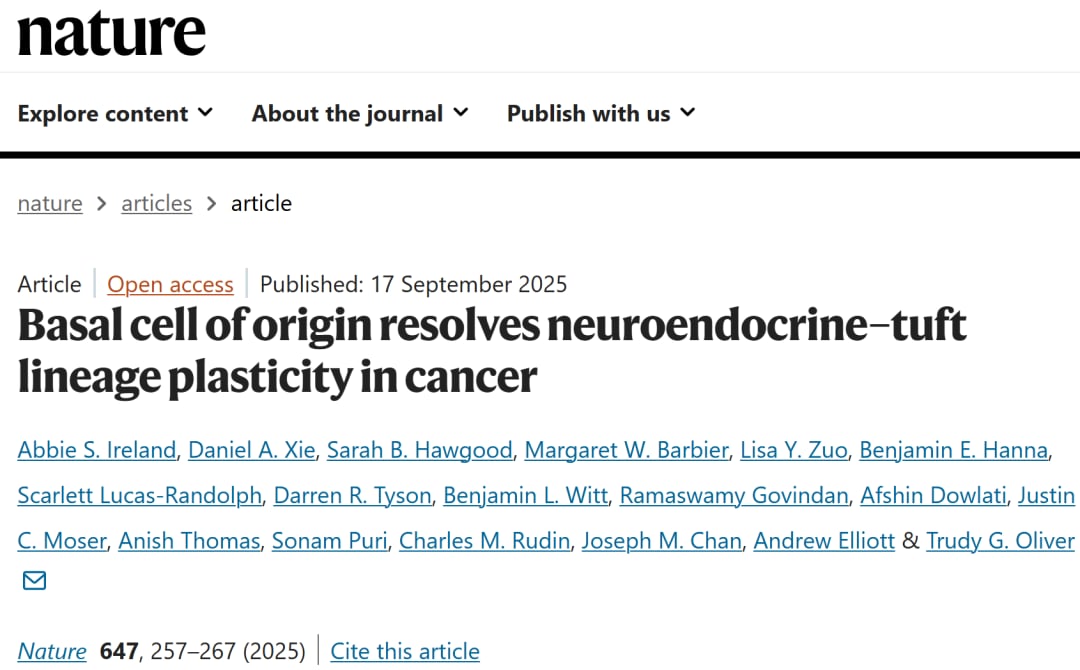 颠覆认知!Nature重磅研究揭示小细胞肺癌(SCLC)真正起源,治疗新希望? 1 b21c467b6d19439d8402a7f518b1b49c-33Y3e3b