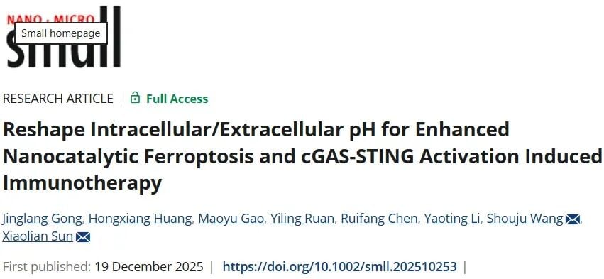 克服免疫抑制:泮托拉唑纳米复合系统如何重塑肿瘤微环境,增强癌症免疫治疗效果? 1 b78126e3e9a34c17980c2ea0d894aced-kUG415i