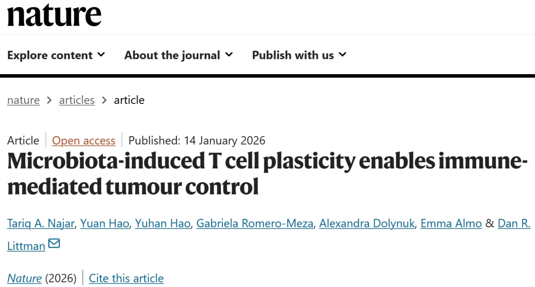肠道细菌竟是抗癌“特种兵”?《Nature》重磅:分段丝状细菌如何让PD-1免疫治疗效果翻倍? 1 e22c3a54d0914ae1bc9f1f71bfc3a25e-5QxrstE