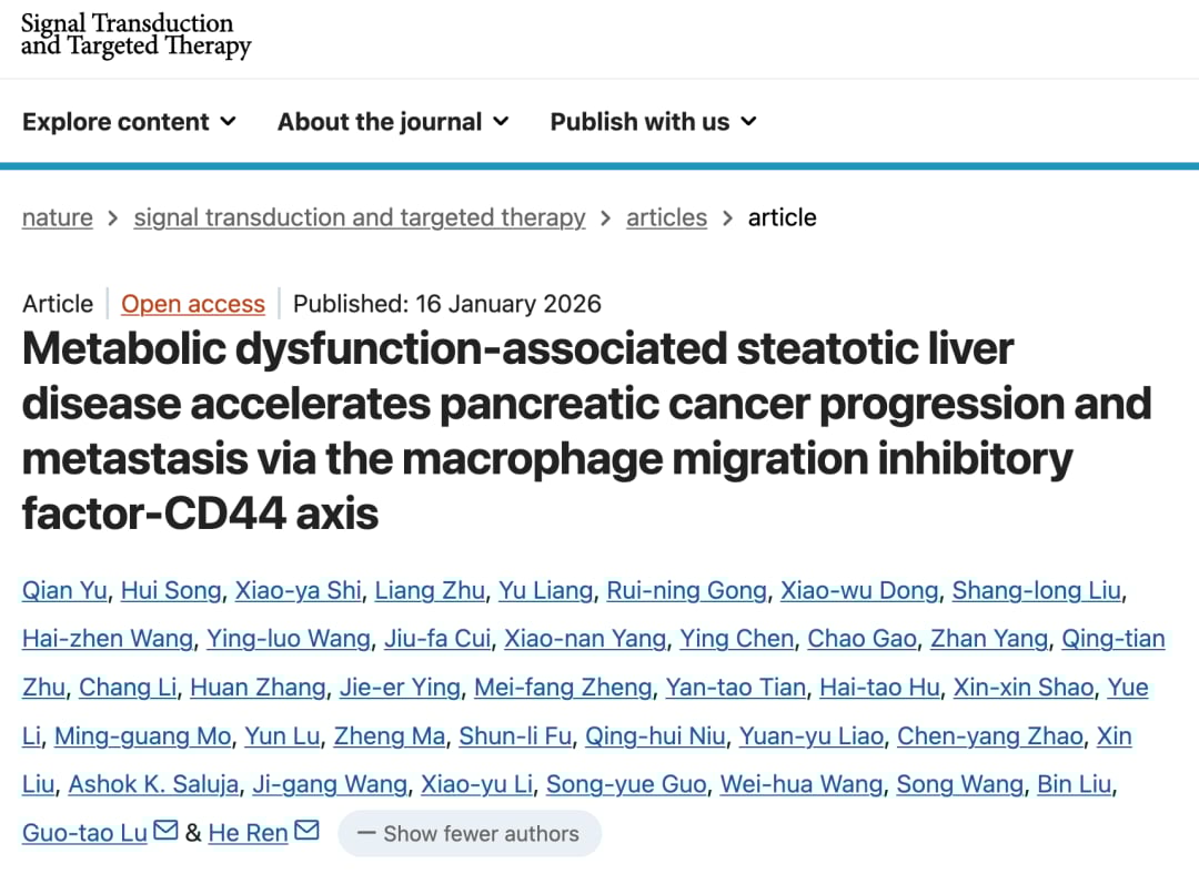 警惕!脂肪肝如何加速胰腺癌肝转移?最新研究揭示MIF-CD44新靶点 1 eadcbae36a864421bd8264b6a22ef6ec-xu6yPfJ