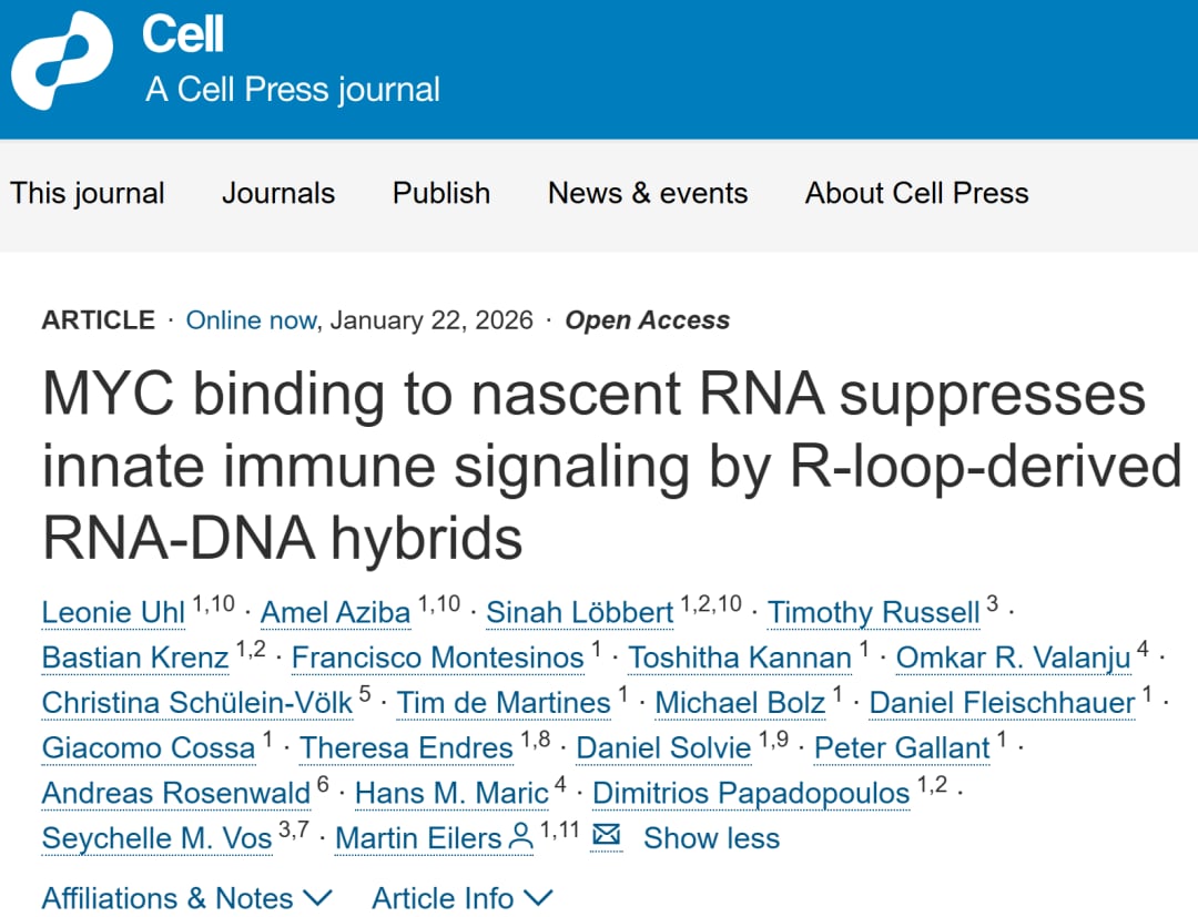 肿瘤为何难缠?《Cell》重磅揭示MYC癌蛋白“蒙蔽”免疫系统新机制 1 4a6ca4c4474f4502b6aff93d29f94b7d-ijuElF1