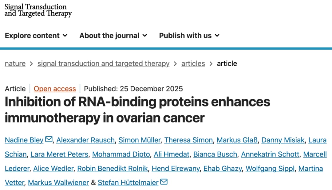 卵巢癌“免疫冷肿瘤”如何变热?IGF2BP1抑制剂联合PD-1阻断剂的最新研究与治疗潜力 1 f6354cab05984f1f9743cfed7bd8e208-ZJfXZ7d