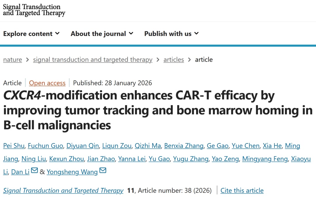 CAR-T细胞治疗新突破:改造CXCR4如何精准打击B细胞恶性肿瘤? 1 04543f1989b744aa98deb69b8494ce79-EHE48Gq