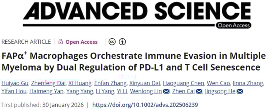 多发性骨髓瘤免疫治疗遇瓶颈?浙江大学新研究揭示FAPα⁺巨噬细胞,有望破解PD-L1耐药,提升疗效! 1 多发性骨髓瘤(MM)中FAPα⁺巨噬细胞介导免疫逃逸的双重机制图