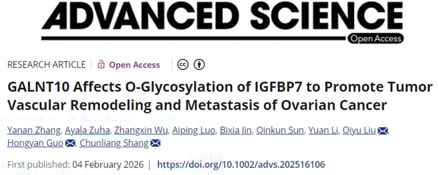 卵巢癌转移有望突破!北大新研究揭示GALNT10关键机制,木犀草素或开启治疗新篇章 1 a2872db24ca14bd4a705b44077d61419-HagXVR9