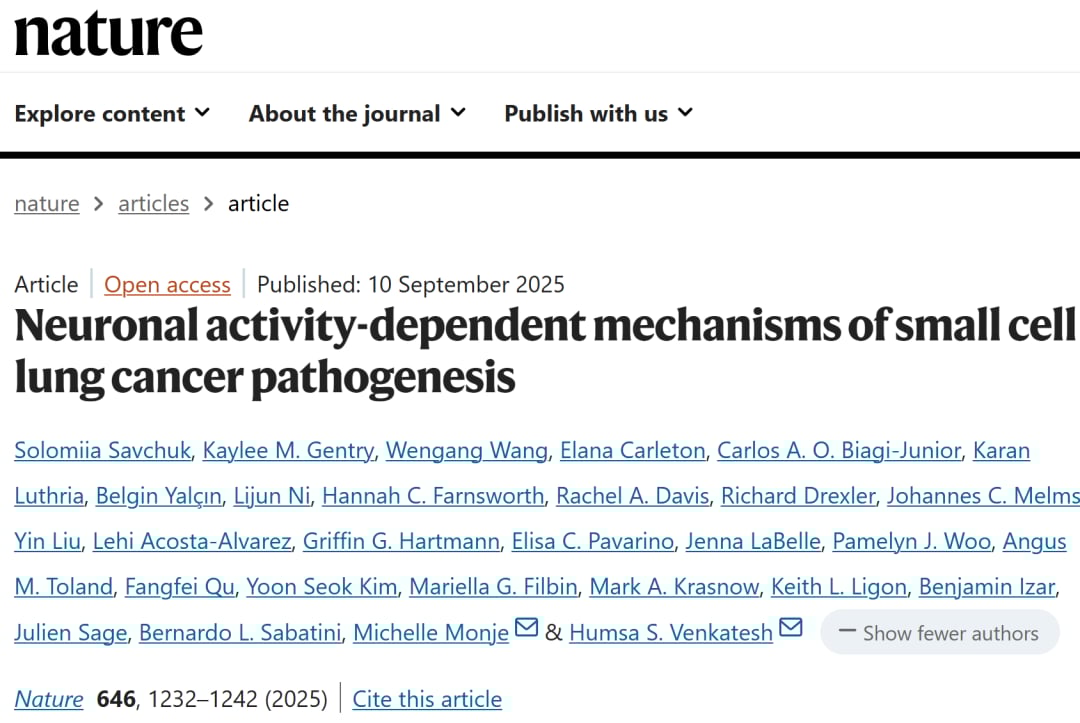小细胞肺癌(SCLC)脑转移新突破:Nature揭示癌细胞“劫持”大脑通信,治疗迎来转机 1 c54a4ae8c0ab4a5db5d88a5fba926912-ExL7bKN
