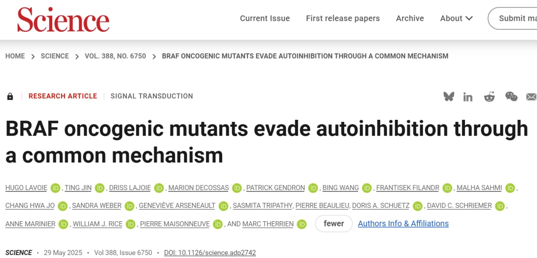 癌症“癌变开关”新突破:《Science》揭示BRAF突变机制,靶向药潜力巨大 1 e10cd382d0824966aa0d9a04e133814e-fFRj7nx