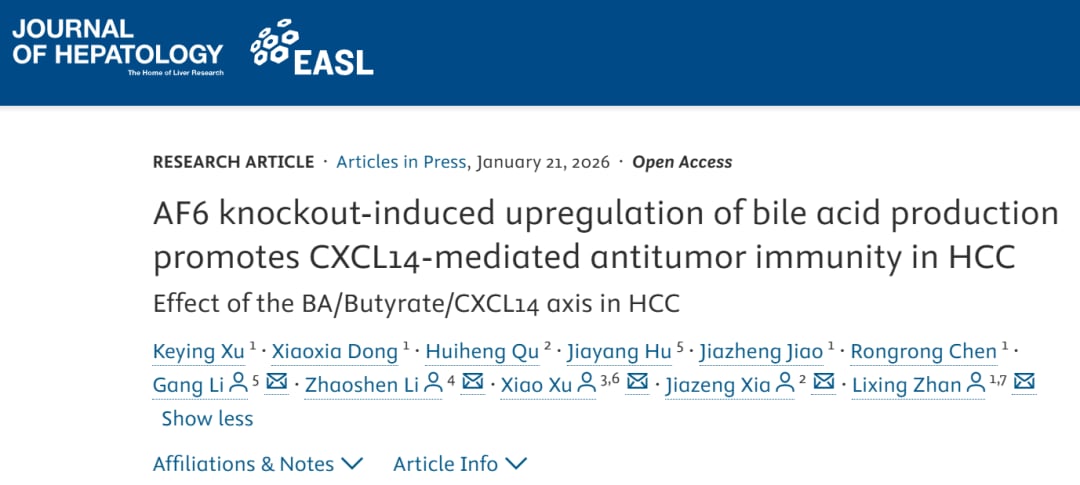 肝细胞癌免疫治疗新进展:胆汁酸代谢如何重塑肿瘤微环境,AF6成潜在靶点? 1 e22261b7086044be98a303843c6a28d9-9jmnepn