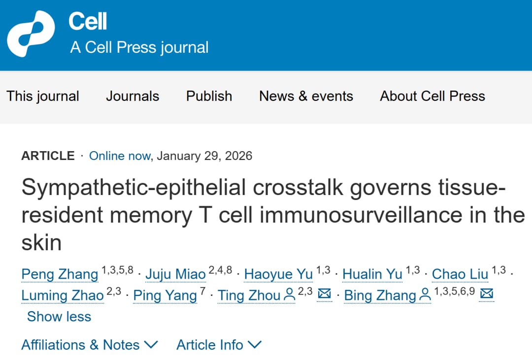 皮肤抗癌新希望:西湖大学《Cell》揭示免疫“哨兵”新机制,或影响癌症治疗 1 eed0e930c6c64ed9b923af7f54e67e87-YQDshBX