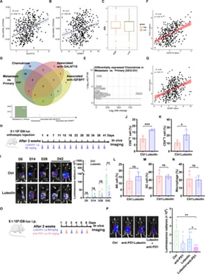卵巢癌转移有望突破!北大新研究揭示GALNT10关键机制,木犀草素或开启治疗新篇章 2 f4bd06990c624fe2941a1a24420dcb56-zxGqQRC