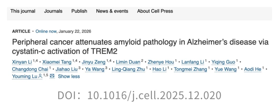 癌症也能“防痴呆”?Cell新研究:肿瘤分泌Cyst-C,有望清除大脑“垃圾”,改善阿尔茨海默病认知! 1 fff06dc916d34fe5aa81cc4b914af0d0-3gP7yoQ