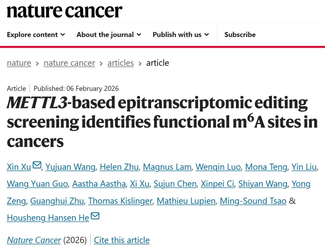 m6A RNA修饰:前列腺癌治疗的精准突破与新希望,南方医科大学揭示CHD9抑癌机制 1 m6A RNA修饰在基因表达调控中的作用机理图