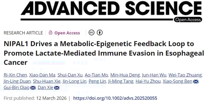 食管鳞癌免疫治疗耐药新机制:乳酸环路与破局方向 1 食管鳞状细胞癌乳酸代谢与免疫逃逸机制示意图