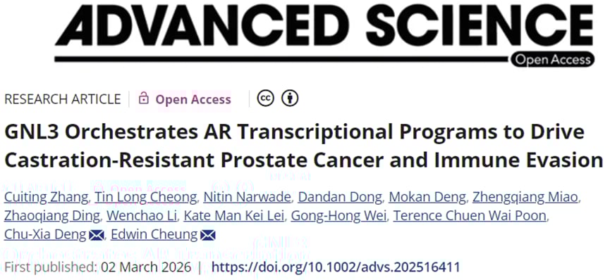晚期前列腺癌耐药之谜告破?澳门大学发现“双重间谍”蛋白,联合治疗现曙光 1 GNL3蛋白介导前列腺癌进展与免疫逃逸的分子机制示意图