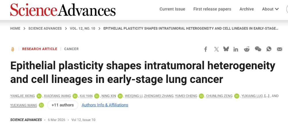早期肺腺癌治疗新希望:揭秘KLF4/JDP2如何“重编程”癌细胞,突破异质性难题 1 早期肺腺癌单细胞转录组学分析图