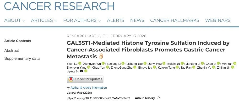 胃癌为什么容易转移?新研究锁定CAF-GAL3ST1通路 1 胃癌转移相关CAF与GAL3ST1表观遗传机制研究示意图
