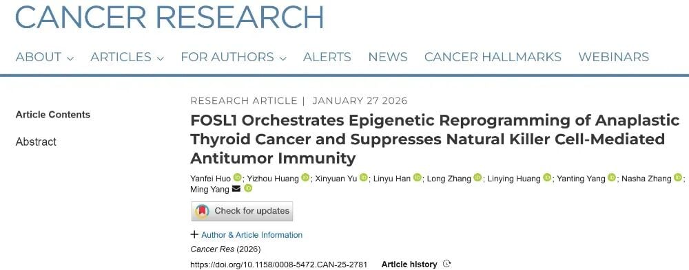 甲状腺未分化癌(ATC)为何进展这么快?研究提示:FOSL1“改写染色质”让NK细胞杀不动 1 甲状腺未分化癌ATC中FOSL1-超级增强子环路与NK细胞逃逸机制示意图