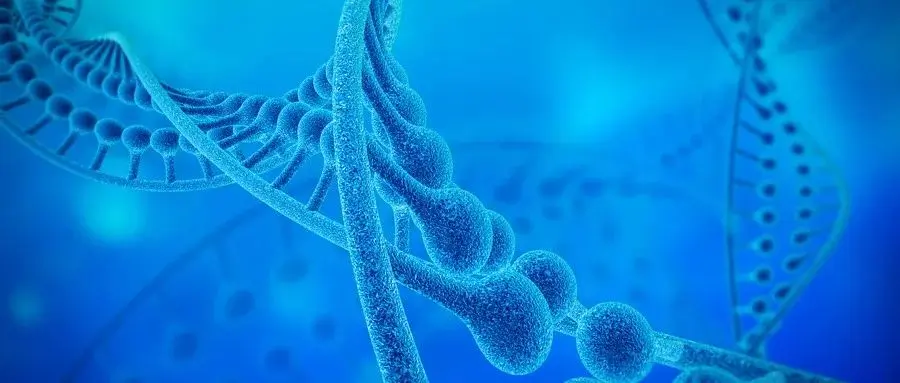 美国肿瘤医生：液体活检可能缩短治疗时间、提高患者生存率！