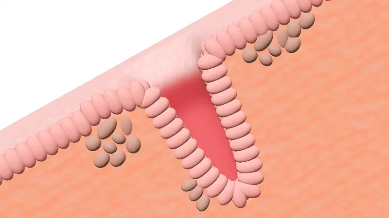 frc 4ba7cb3cd3e793e605e73c36b6577346