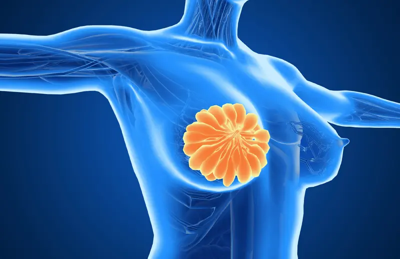 乳腺癌治疗新希望：DRD2、HRH2、HRH4基因揭示精准靶向治疗新靶点