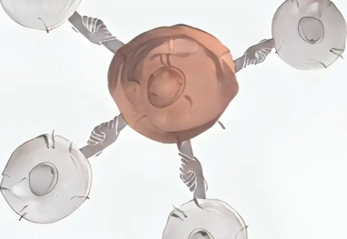 乳腺癌治疗后为何总复发?罪魁祸首或已被发现! 2 frc 79f0921c135756fb5ead292e99161592