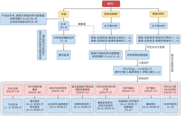 ESMO 2025胆道癌指南更新：一线免疫联合化疗，二线靶向药福巴替尼、培米替尼等推荐