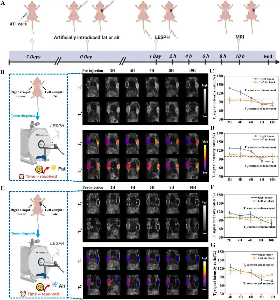 20250409_c385z 20250409_c385z