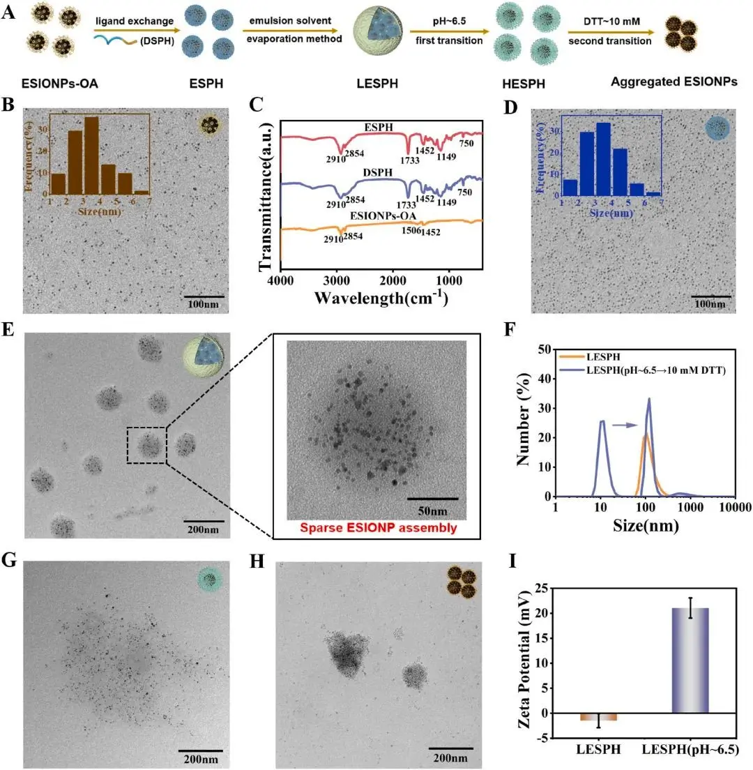 20250409_ckx78 20250409_ckx78