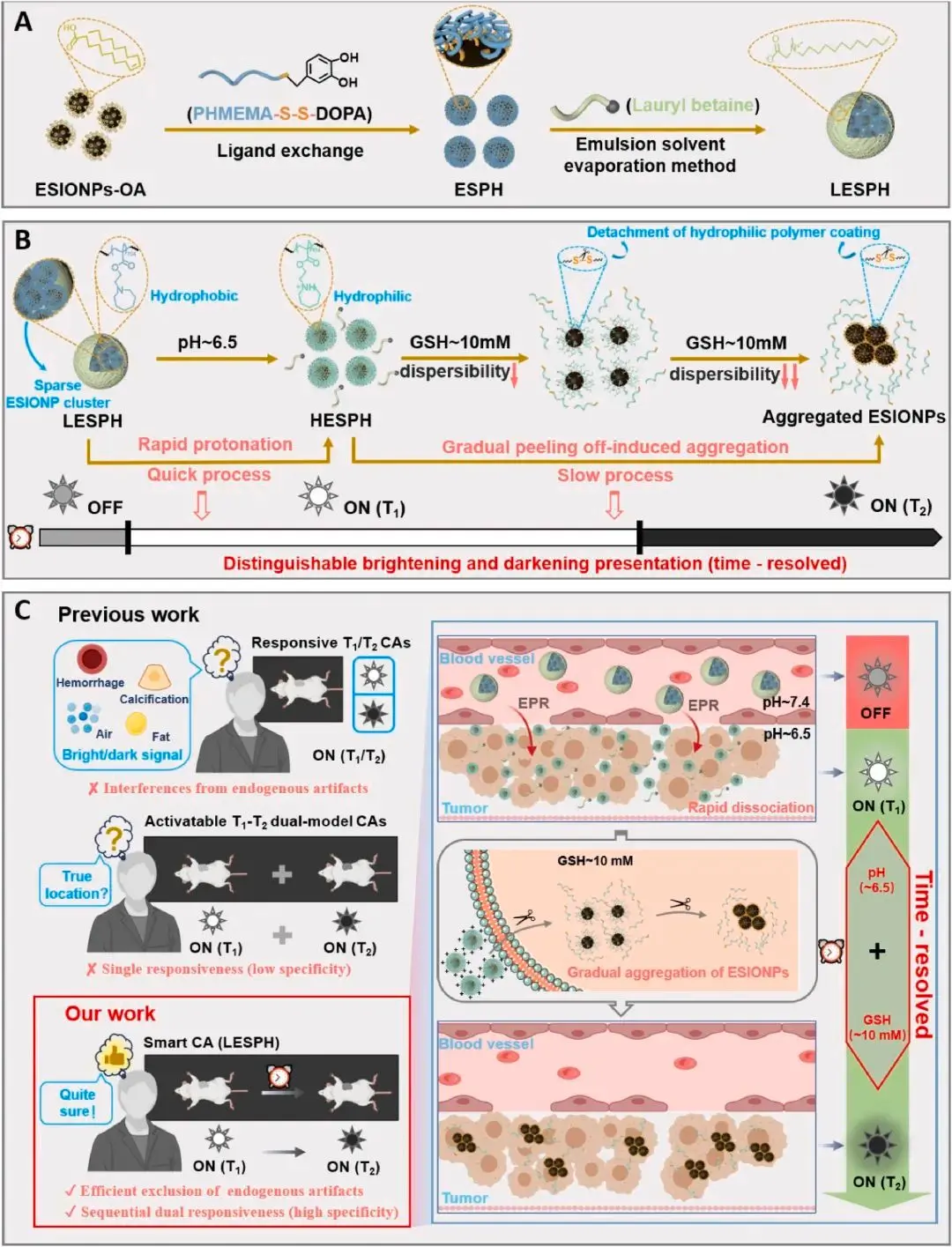 20250409_jodin 20250409_jodin