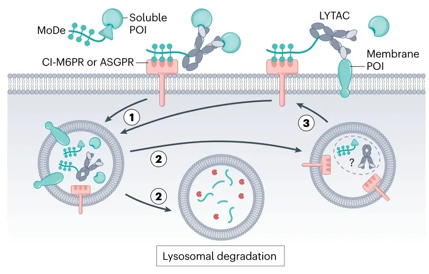 20250412_0x6xq 20250412_0x6xq