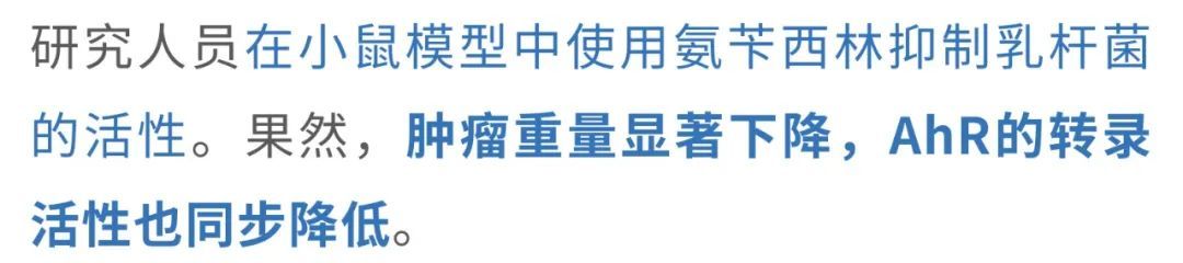 20250412_1vbk3 20250412_1vbk3