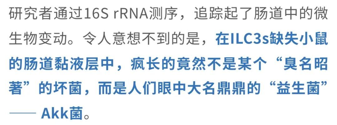 20250412_36ofj 20250412_36ofj