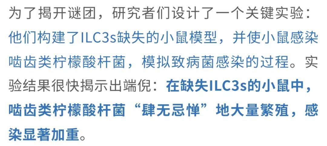 20250412_3bney 20250412_3bney