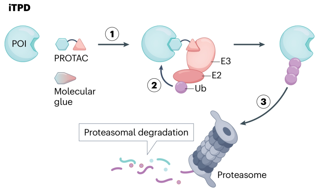 20250412_465pu 20250412_465pu