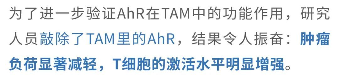 20250412_4bjpu 20250412_4bjpu