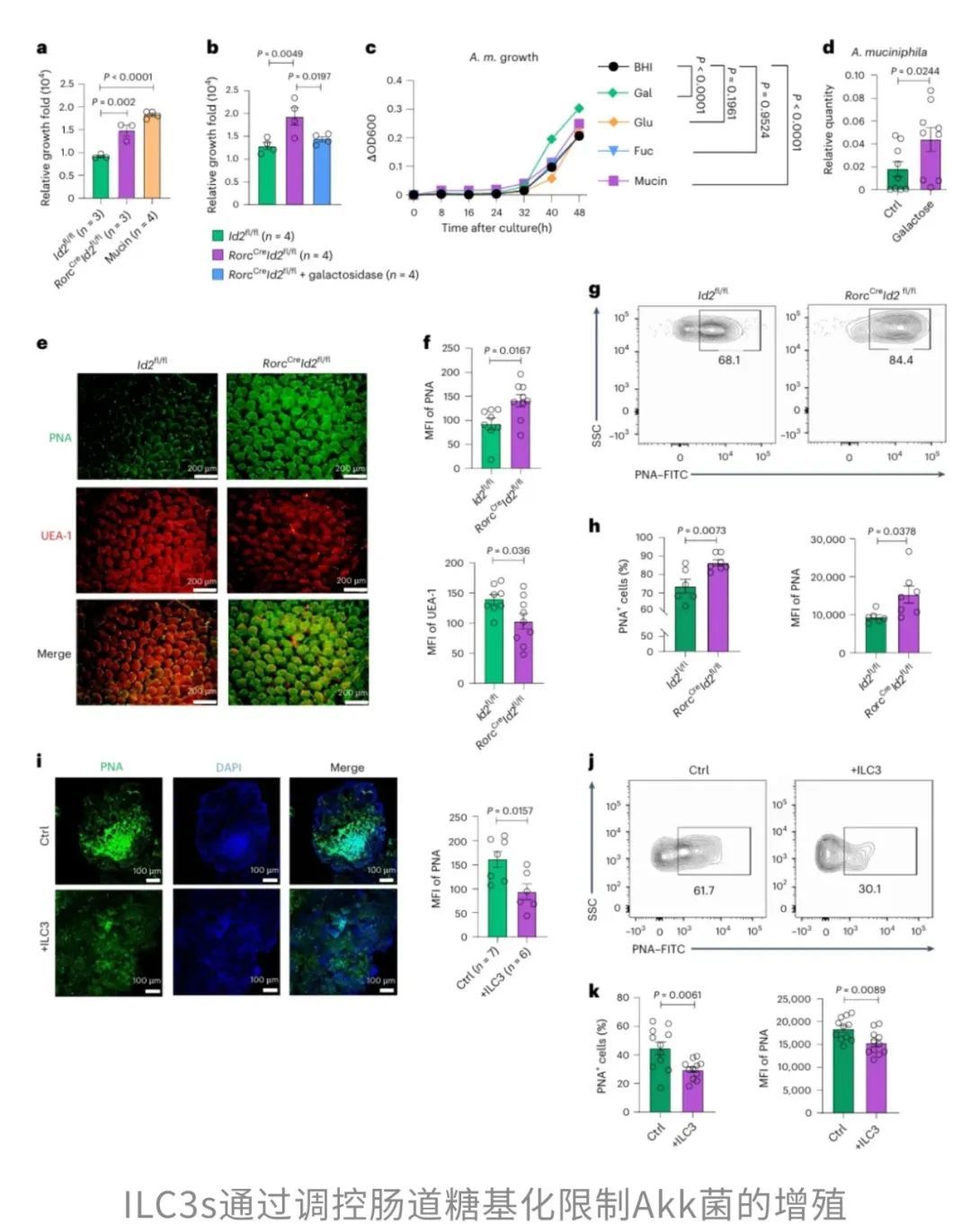 20250412_92gqy 20250412_92gqy