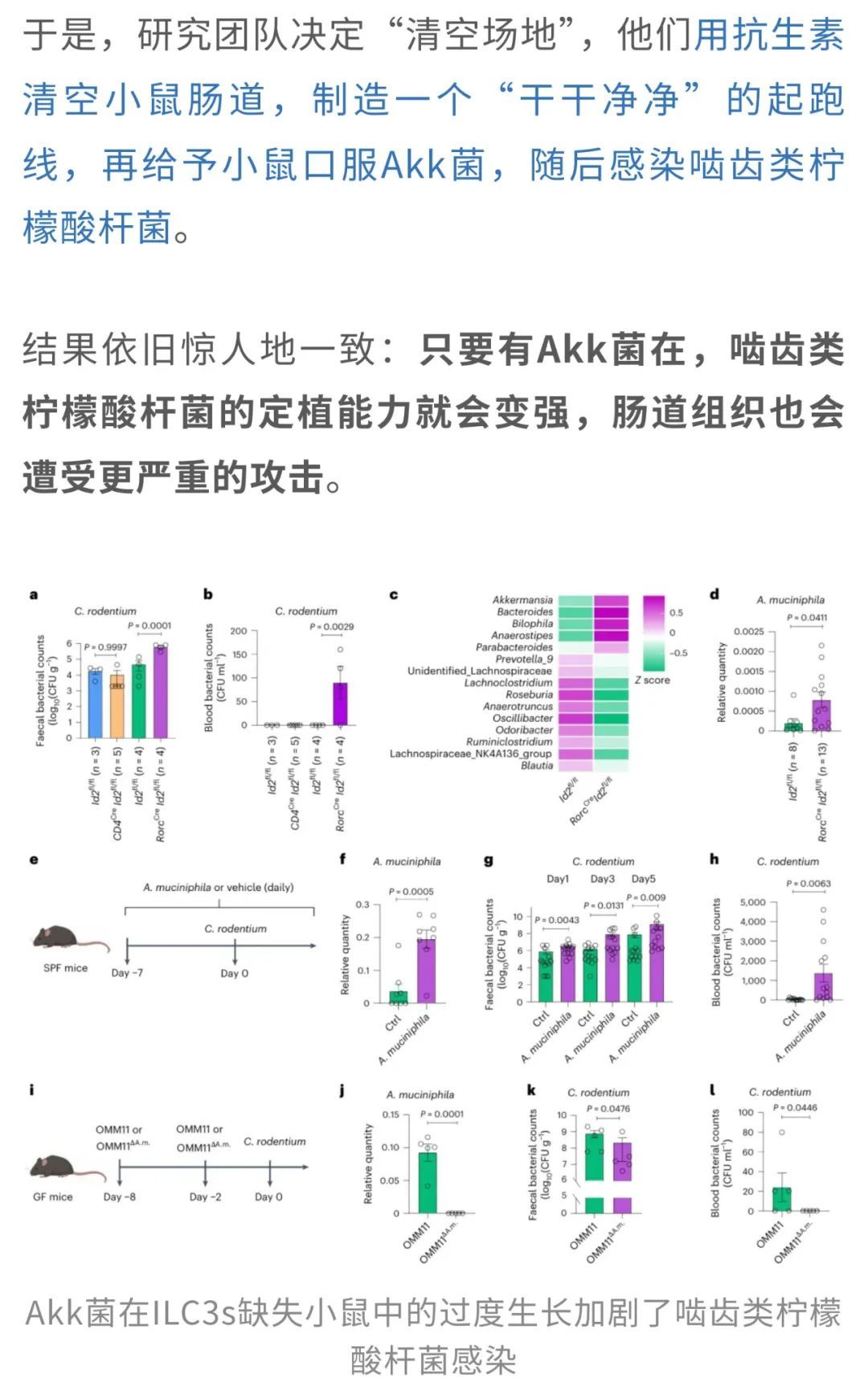 20250412_cawvm 20250412_cawvm