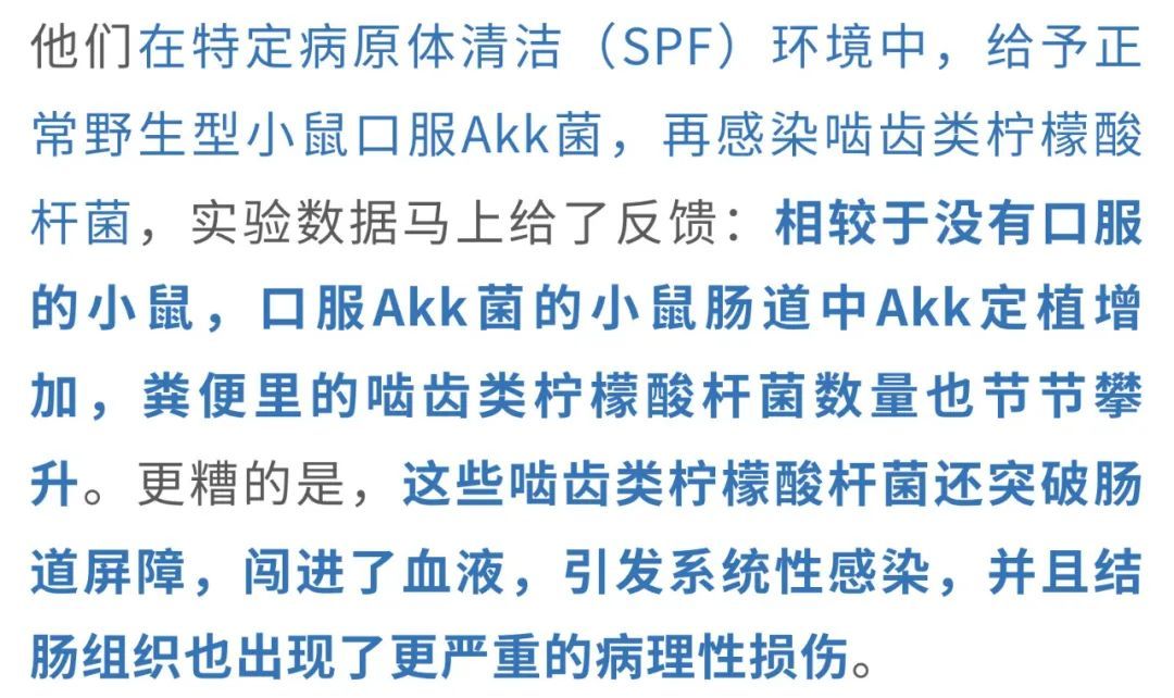 20250412_jsggx 20250412_jsggx