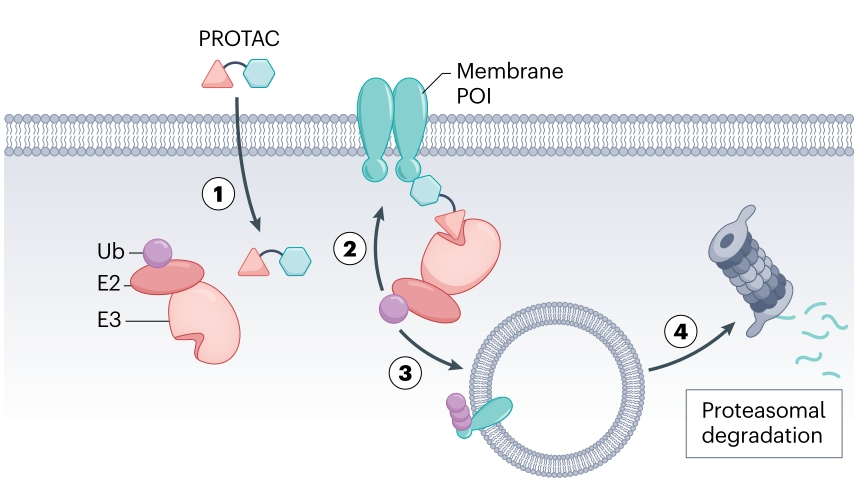 20250412_lre1y 20250412_lre1y