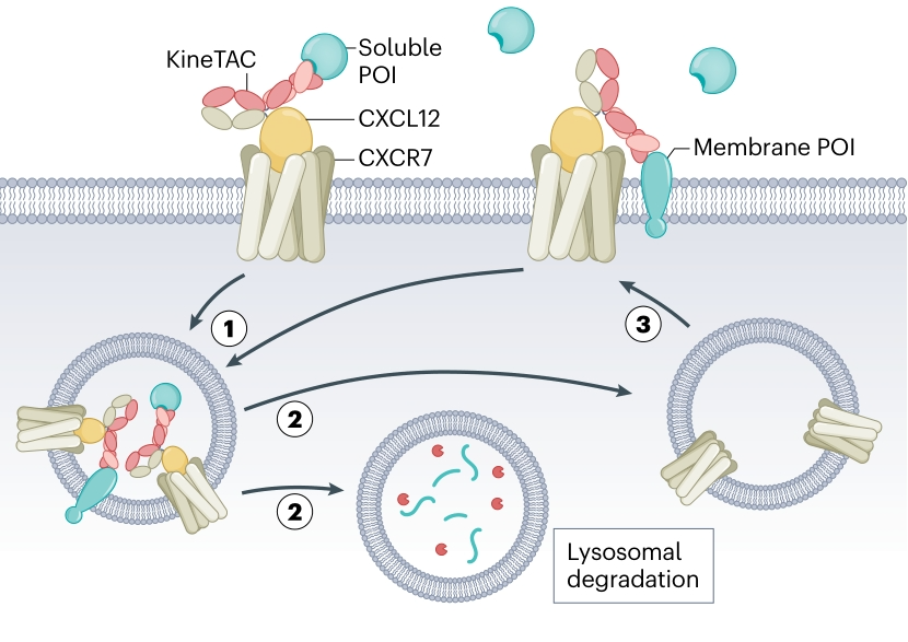 20250412_nrbe9 20250412_nrbe9