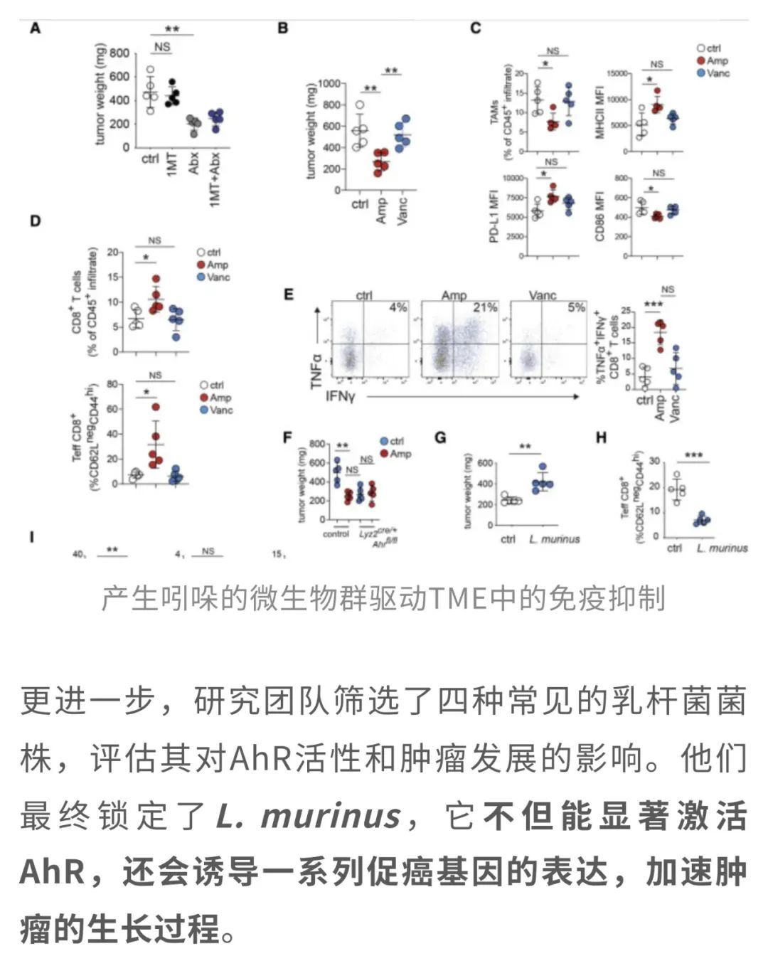 20250412_ow3b8 20250412_ow3b8