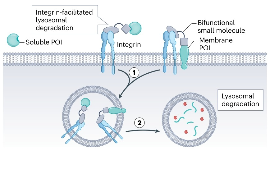 20250412_qx6du 20250412_qx6du